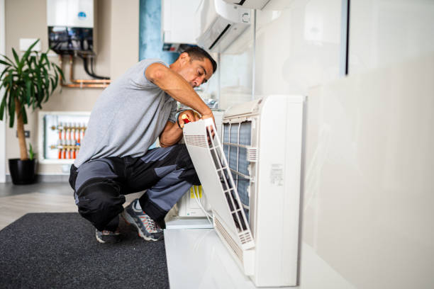 Best Home Air Vent Cleaning  in Carrollwood, FL