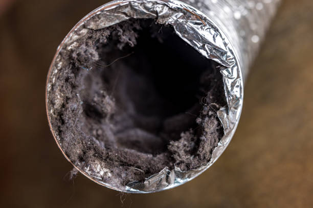 Best Residential Air Duct Cleaning  in Carrollwood, FL