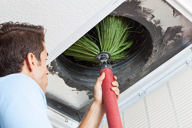 Best Local Air Duct Cleaning Services  in Carrollwood, FL